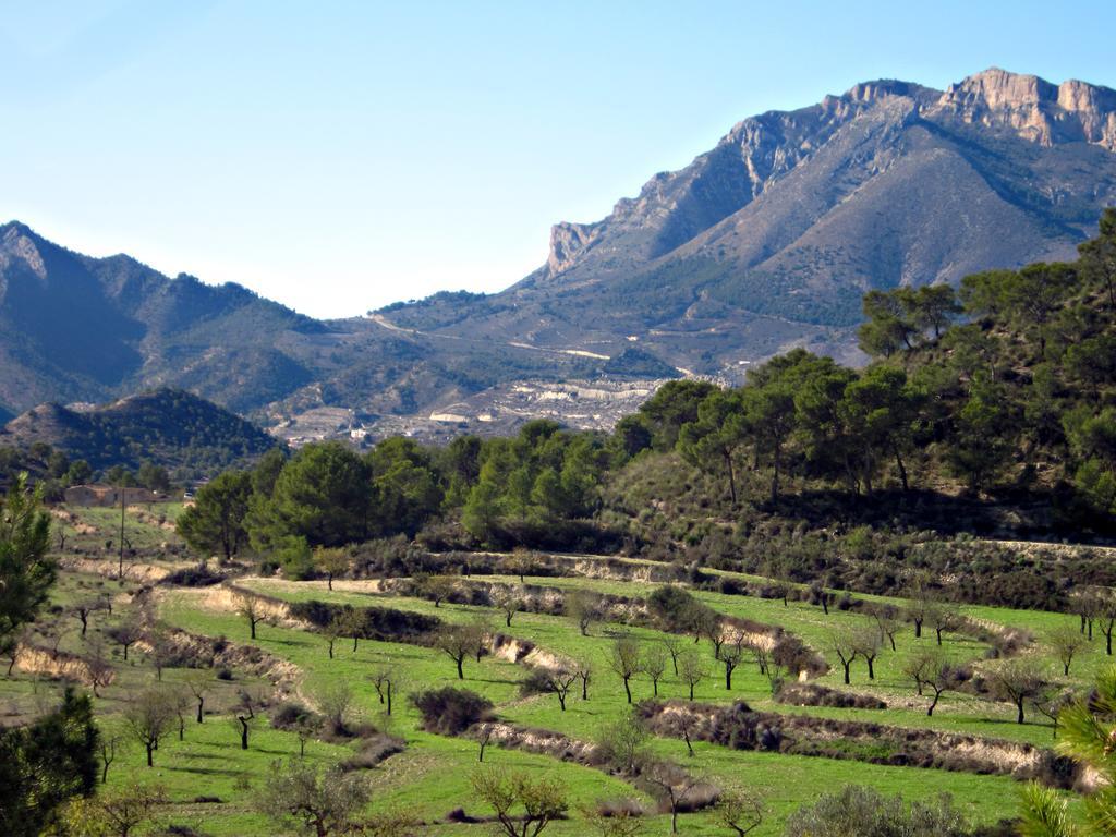 El Pao Spa Bed & Breakfast